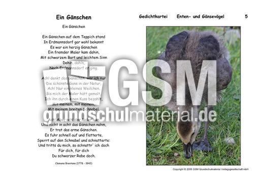 Ein Gänschen-Brentano.pdf